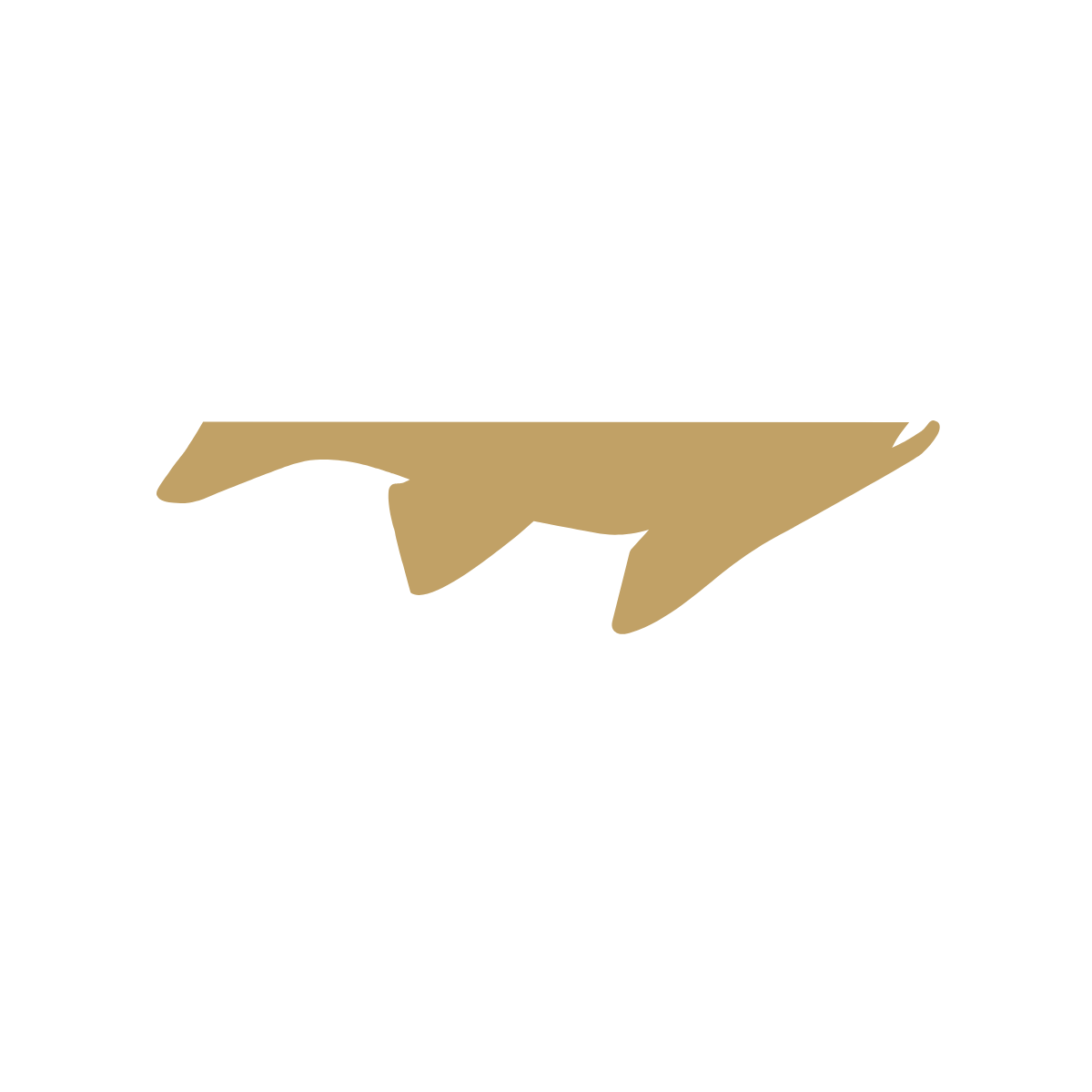 Norolan logo FIshing partners